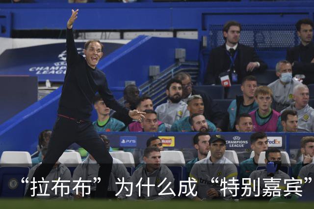 “拉布布”为什么成“特别嘉宾”？