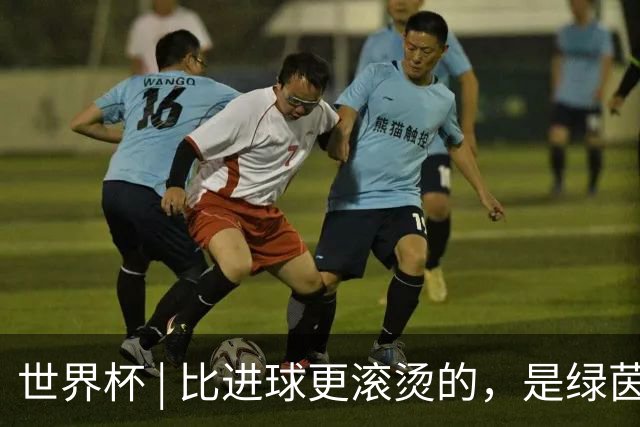 世界杯 | 比进球更滚烫的，是绿茵场上的爱