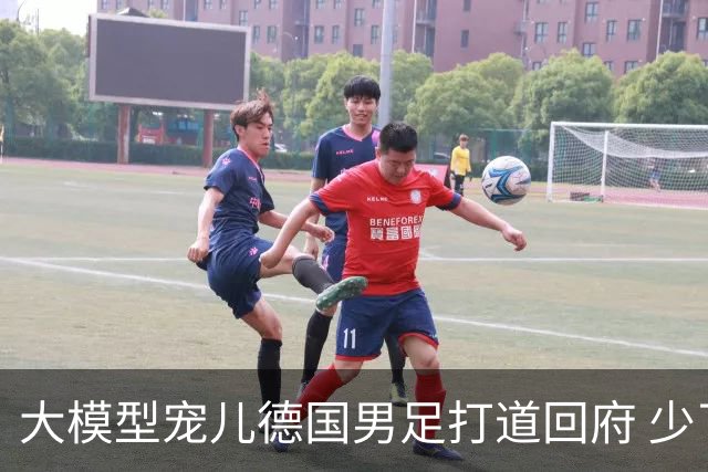 大模型宠儿德国男足打道回府 少了人性观察数据等于废纸