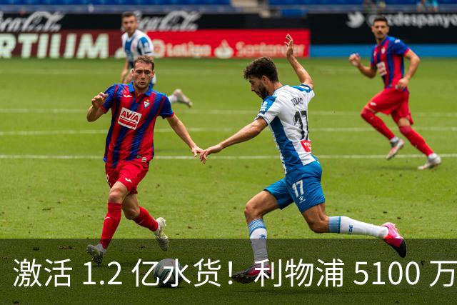 激活 1.2 亿水货！利物浦 5100 万捡漏全能神锋，数据全面碾压